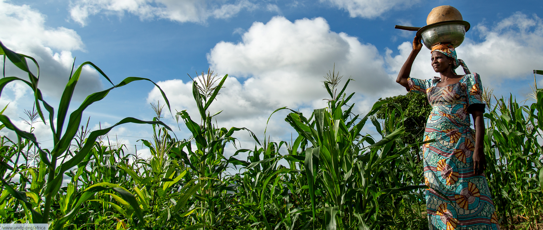 African women sow survival strategies amid climate change